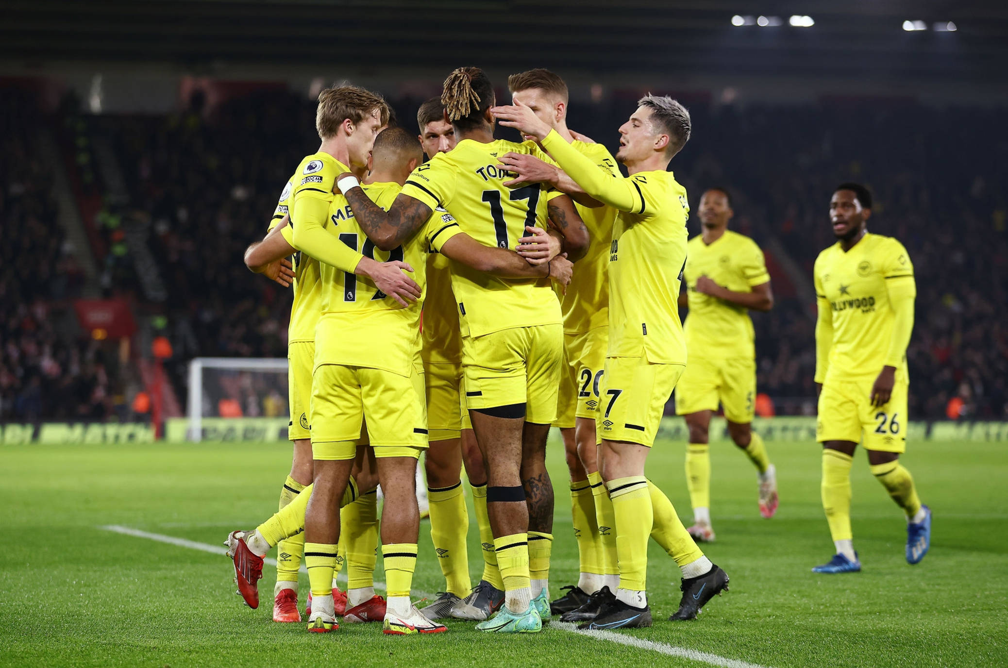 他职业生涯 他职业生涯