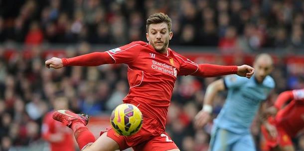 中不仅包括 中不仅包括