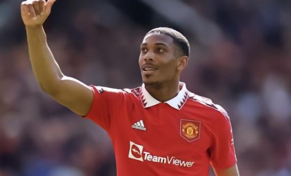 决定性作用 决定性作用